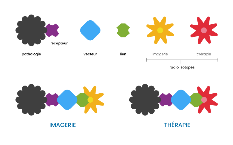 theranostique